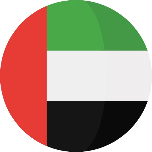 UAE flag